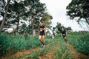 BIB: 
                            <button type="button" onclick="openModal(26033472)" class="btn btn-primary btn-sm float-right btn-popup" data-toggle="modal" data-target=".modal-high-quality">
                        <i class="fas fa-shopping-cart"></i> Add to Cart
                    </button>
                                            <button type="button" onclick="isThisMe(26033472, true)" class="btn btn-success btn-sm float-right btn-popup btn-isme hidden" data-toggle="tooltip" data-placement="bottom" title="นี่คือรูปของคุณใช่ไหม คลิกที่นี่เพื่อเอาเข้าอัลบั้ม">
                        <i class="fas fa-plus"></i> Add to album
                    </button>
                    <button type="button" onclick="isThisMe(26033472, false)" class="btn btn-warning btn-sm float-right btn-popup btn-isnotme hidden">
                        <i class="fas fa-ban"></i> Remove from album
                    </button>